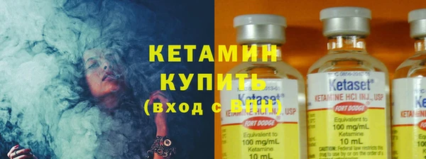 сатива Вяземский