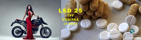 прущие крисы Калининец