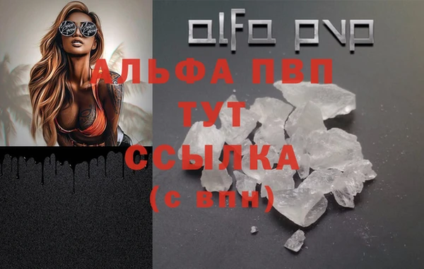 спиды Волосово