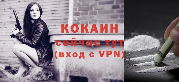 прущие крисы Калининец