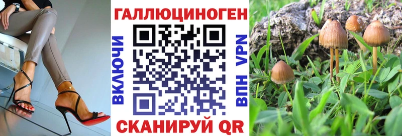 Купить закладки  Карпинск  Галлюциногенные грибы мухоморы 